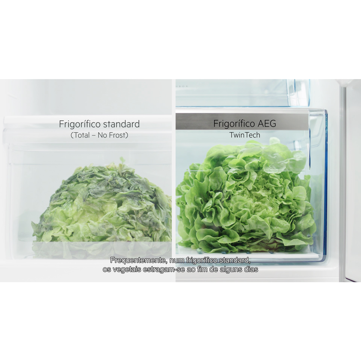 AEG - Combinado de livre instalação - RMB954E9VX