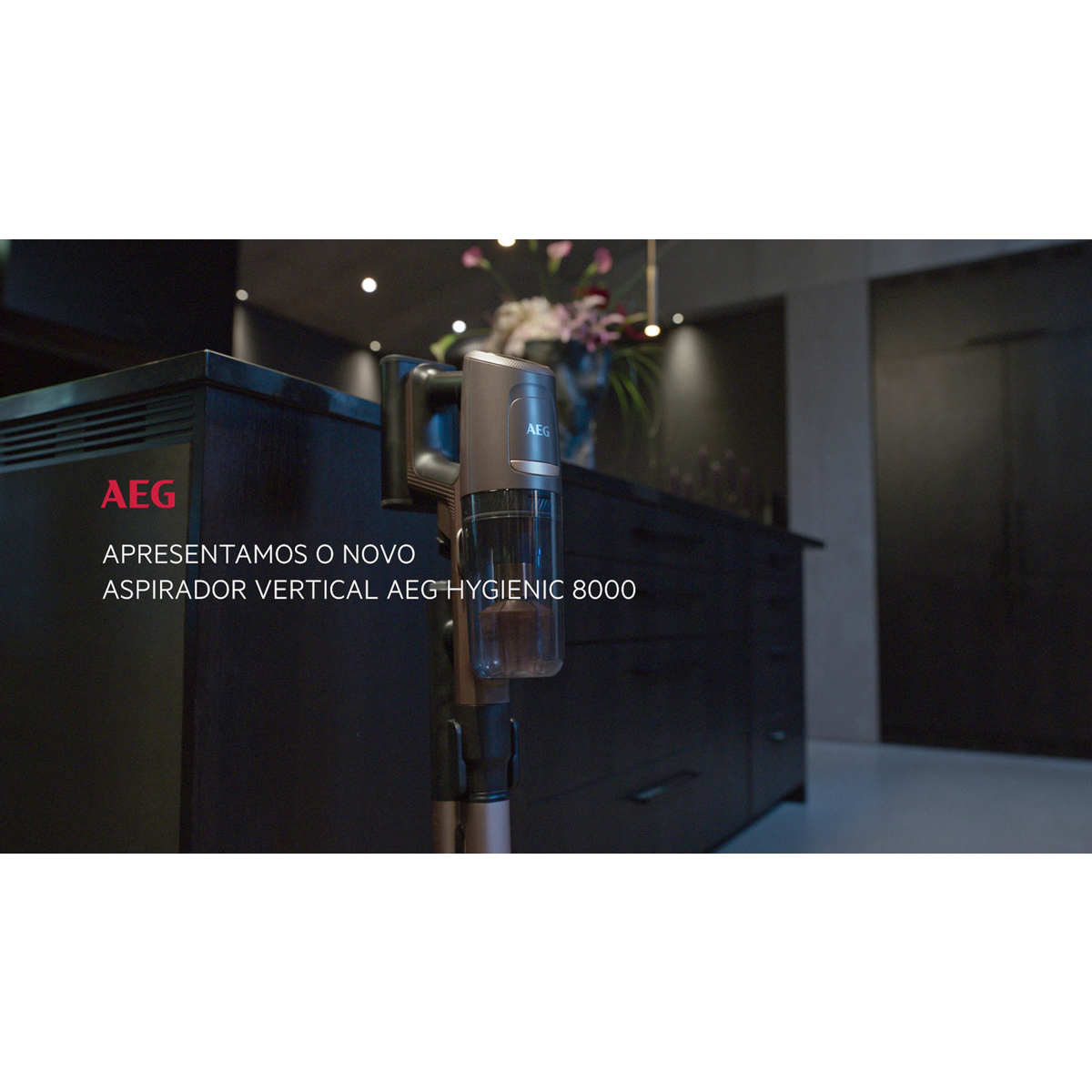 AEG - Escova - AZE158