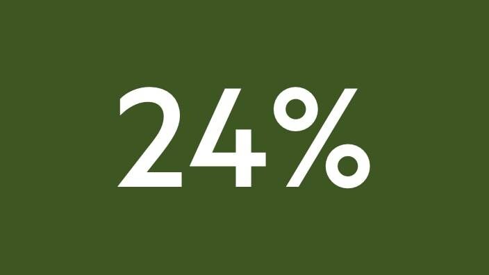 24 %